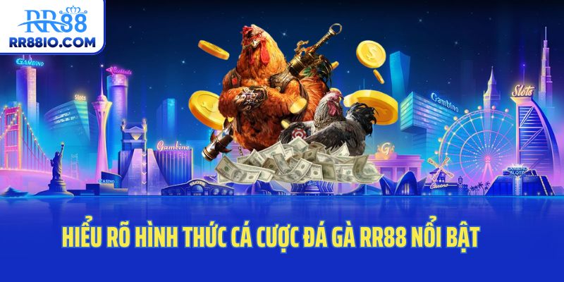 Hiểu rõ hình thức cá cược đá gà RR88 nổi bật 