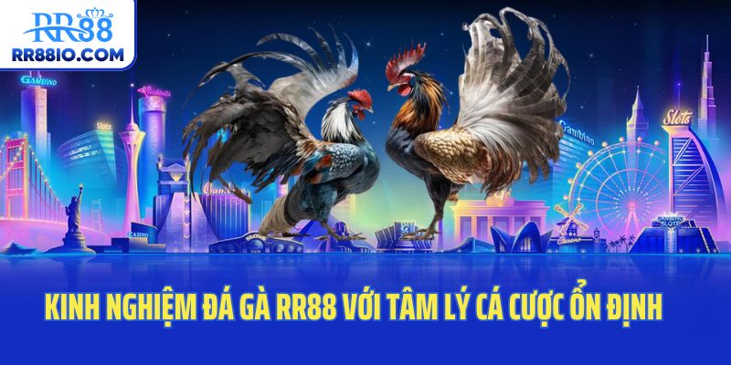 Kinh nghiệm đá gà RR88 với tâm lý cá cược ổn định
